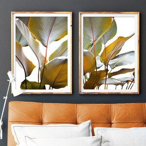 Tropical Print Set, Banana Leaves Print, Wall Decor Set Of 2 Wall Art, Tropical Print, Botanical Art, Sepia Photography, Leaf Print, 145a