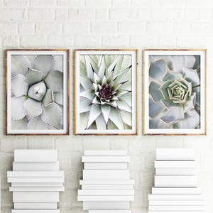 Wohnung Poster Druckbare Wandkunst, Set von 3 Drucken, Sukkulenten Druck, Botanische Drucke, Kaktus Druck Set, Kaktus Wandkunst, Wüste Wandkunst