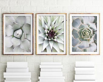 Printable Wall Decor, Set Of 3 Prints, Cacti, Succulent Print, Botanical Photography, Cactus Print, Cactus Wall Art, Gray Scandi Art Set