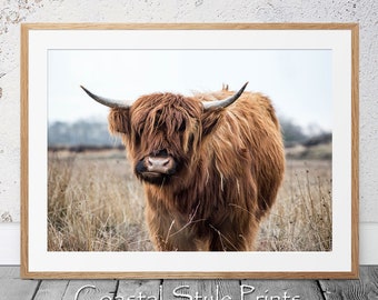 Highland Cow Photography, Highland Cow Print,Bedroom Prints,Bison Print,Farm Print, Wall Decor,Printable Poster,Buffalo Print,Bull Wall Art