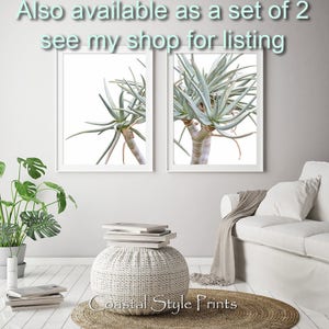 May include: Two framed prints of a green succulent plant with a white background. The prints are displayed on a white wall above a white ottoman with a woven texture. The ottoman is sitting on a woven rug. The text "Coastal Style Prints" is visible on the rug.