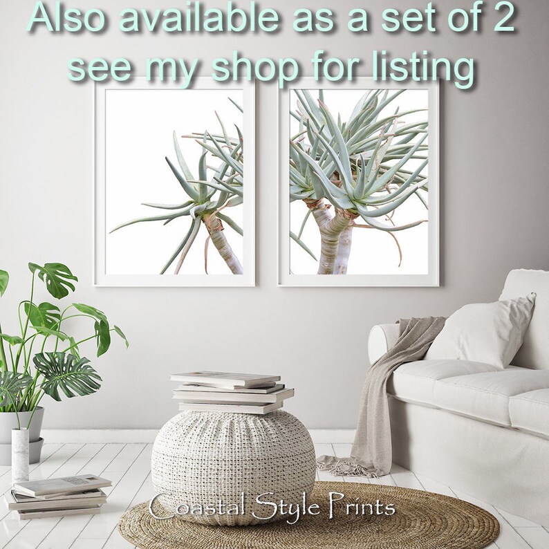 May include: Two framed prints of a green succulent plant with a white background. The prints are displayed on a white wall above a white ottoman with a woven texture. The ottoman is sitting on a woven rug. The text "Coastal Style Prints" is visible on the rug.