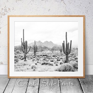 May include: Black and white photograph of a desert landscape with tall cacti and a mountain range in the background.