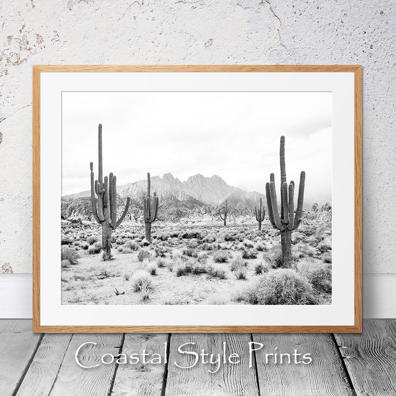 May include: Black and white photograph of a desert landscape with tall cacti and a mountain range in the background.