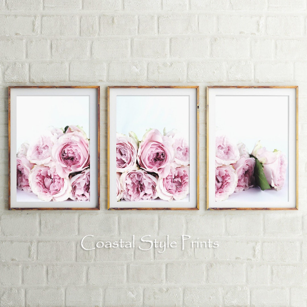 Peonies Print Set of 3, Floral Wall Art Decor,set of 3 Prints,peony ...