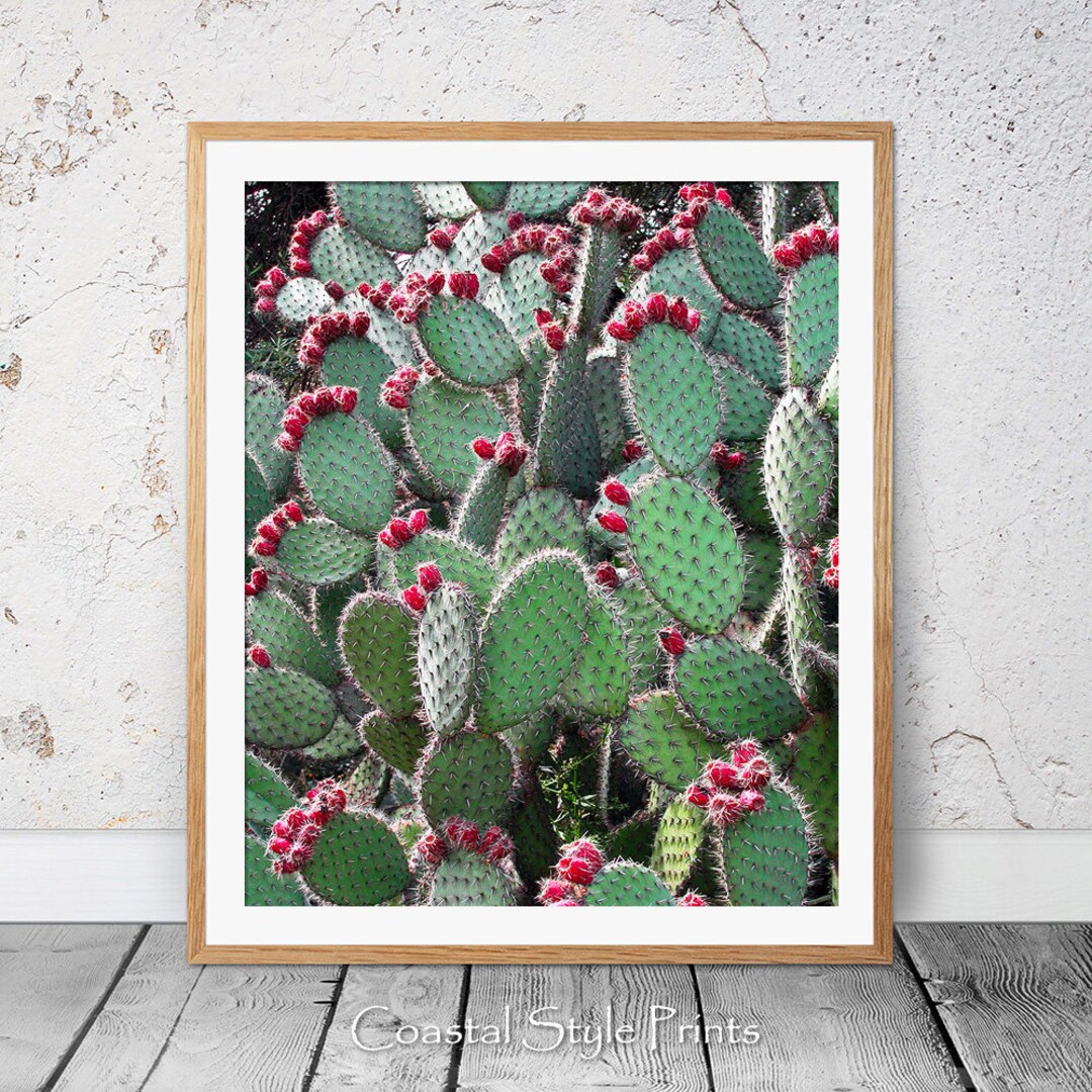 Prickly Pear Cactus, Green Wall Art, Colorful Art Print, Digital Print ...