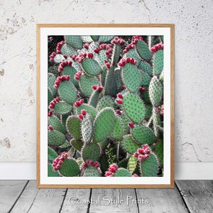 Prickly Pear Cactus, Green Wall Art, Colorful Art Print, Digital Print, Cactus Photography, Cactus Print, Red Green Art, Cactus Wall Decor