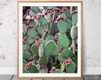Prickly Pear Cactus, Green Wall Art, Colorful Art Print, Digital Print, Cactus Photography, Cactus Print, Red Green Art, Cactus Wall Decor