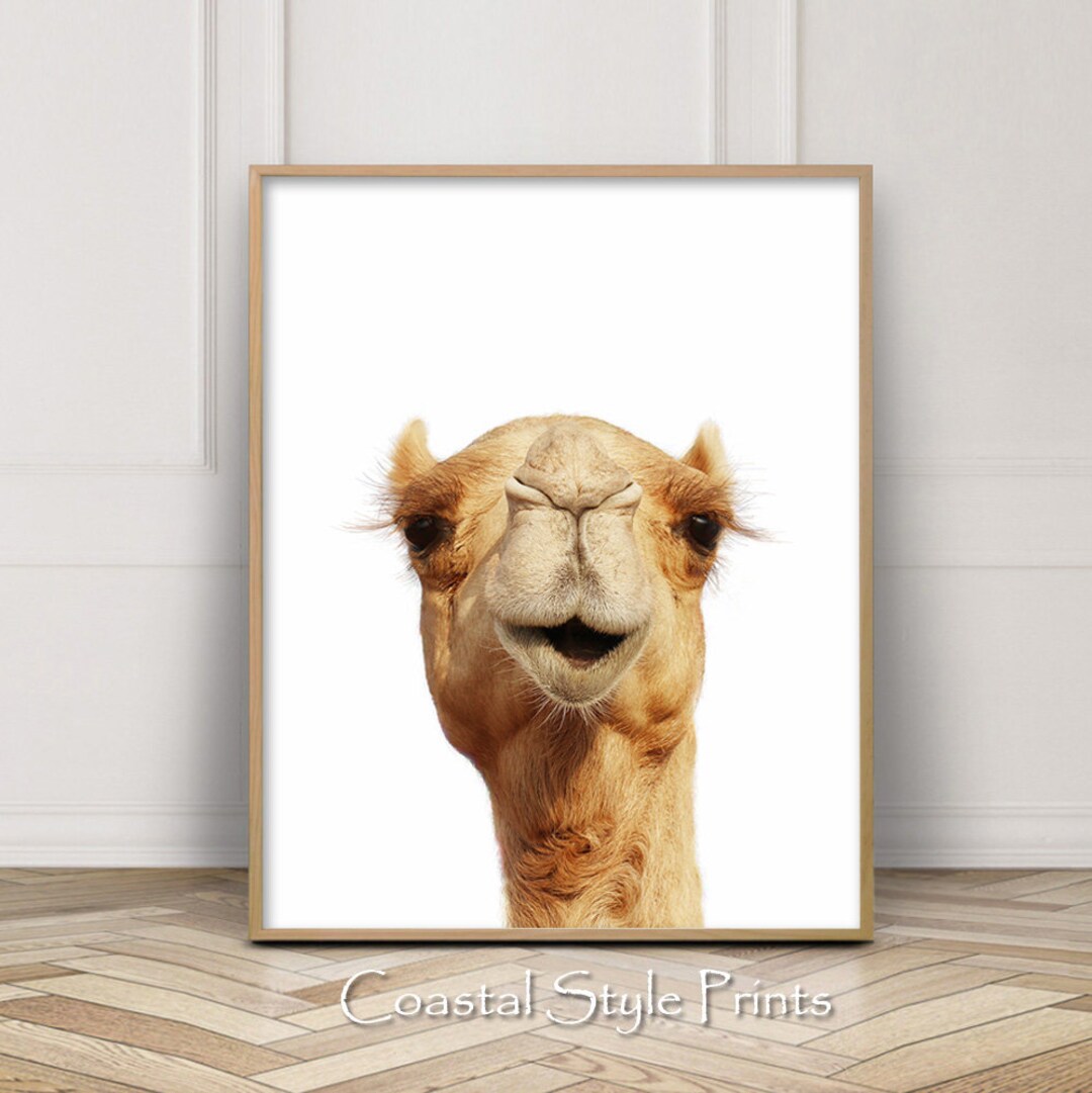 Camel Nursery Decor, Boho Wall Decor, Desert Prints, Animal Wall Art ...