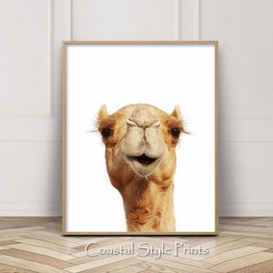 Camel Nursery Decor, Boho Wall Decor, Desert Prints, Animal Wall Art, Camel Poster, Printable Art, Funny Print, Safari Animals Print