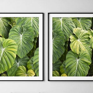 Elephants Ear Prints, Green Set Of 2, Nature Photography Print, Botanical Print Set, Green Wall Art, Tropical Leaf Print, Tropical Decor