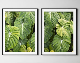 Elephants Ear Prints, Green Set Of 2, Nature Photography Print, Botanical Print Set, Green Wall Art, Tropical Leaf Print, Tropical Decor