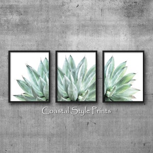 Pu&ograve; includere: Set di tre stampe incorniciate che presentano immagini ravvicinate di una pianta di agave verde su uno sfondo bianco. Le stampe sono in cornici nere e hanno uno stile costiero.