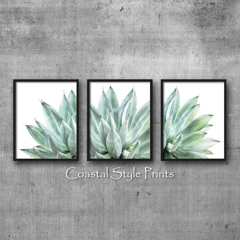 Pu&ograve; includere: Set di tre stampe incorniciate che presentano immagini ravvicinate di una pianta di agave verde su uno sfondo bianco. Le stampe sono in cornici nere e hanno uno stile costiero.