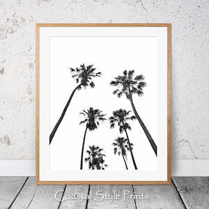 Palmen Druck -schwarz und weiß Fotografie, Palme Baum, Kunst Dekor, Australien, digitaler Download, Palmen, minimale Wandkunst