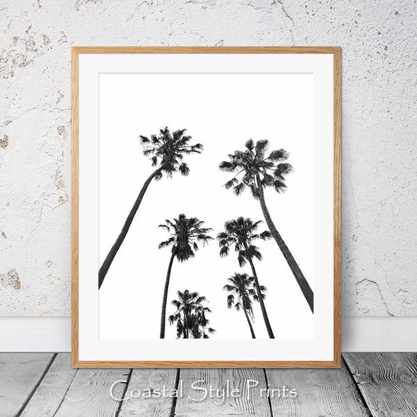 Palm Trees Print -Black and White Photography, Palm Tree Printable, Tropical Art Decor, Australia, Digital Download, Palms, Minimal Wall Art