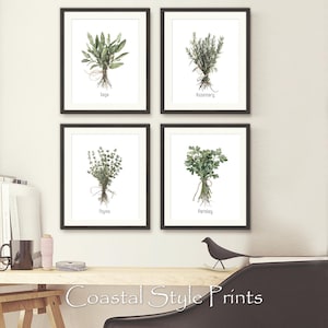 May include: Four framed botanical prints featuring watercolor illustrations of herbs: sage, rosemary, thyme, and parsley. Each print has a white background with the herb's name below. The phrase "Coastal Style Prints" is at the bottom.