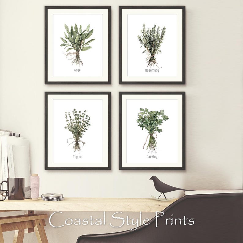 May include: Four framed botanical prints featuring watercolor illustrations of herbs: sage, rosemary, thyme, and parsley. Each print has a white background with the herb's name below. The phrase "Coastal Style Prints" is at the bottom.