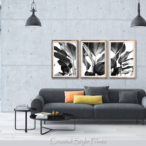 Black and White Print Set, Botanical Print, Printable Wall Art, Set Of 3 Prints, Banana Leaves Print, Digital Download, BW Palm Leaves, 143 image 2