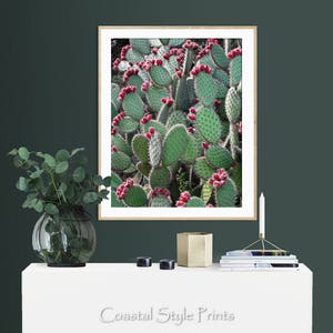 Prickly Pear Cactus, Green Wall Art, Colorful Art Print, Digital Print, Cactus Photography, Cactus Print, Red Green Art, Cactus Wall Decor image 2