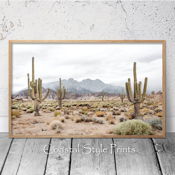 Half Headbands- Cactus Desert Half Headbands- Cactus Desert