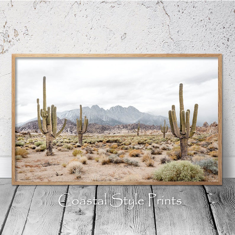 May include: A framed photograph of a desert landscape with tall cacti and mountains in the background. The sky is cloudy and the ground is covered in sand and brush.