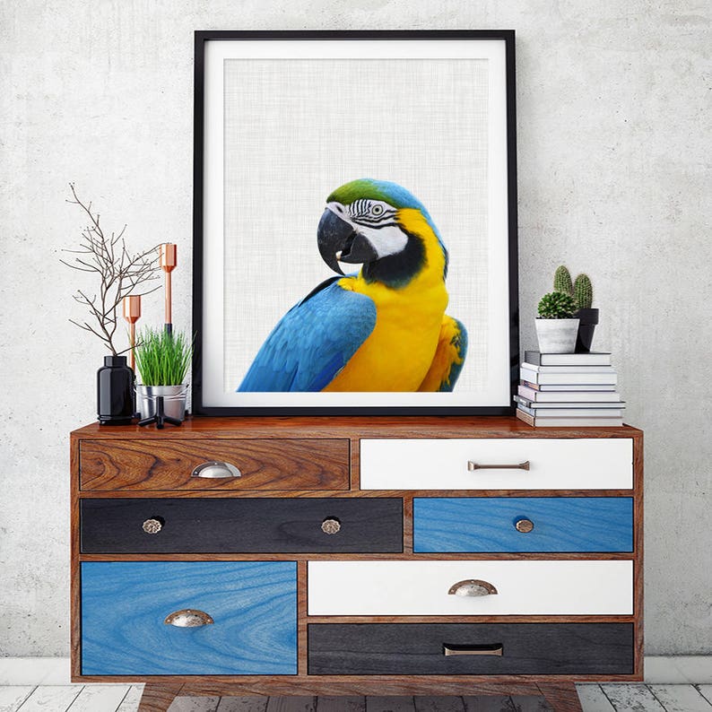Parrot Art Print Bird Wall Art Tropical Bird Print Bird Etsy