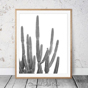 Desert Cactus Print, Black and White, Succulent Print, Botanical Print, Cactus Art, Coastal Wall Art, Large Poster, Cactus Photography, 122b image 1