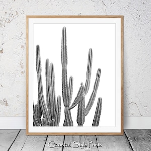 Wüstenkaktus Druck, Schwarz Weiß, Sukkulenten Druck, Botanischer Druck, Kaktus Kunst, Küsten Wandkunst, Großes Poster, Kaktus Fotografie, 122b