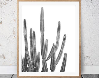 Desert Cactus Print, Black and White, Succulent Print, Botanical Print, Cactus Art, Coastal Wall Art, Large Poster, Cactus Photography, 122b