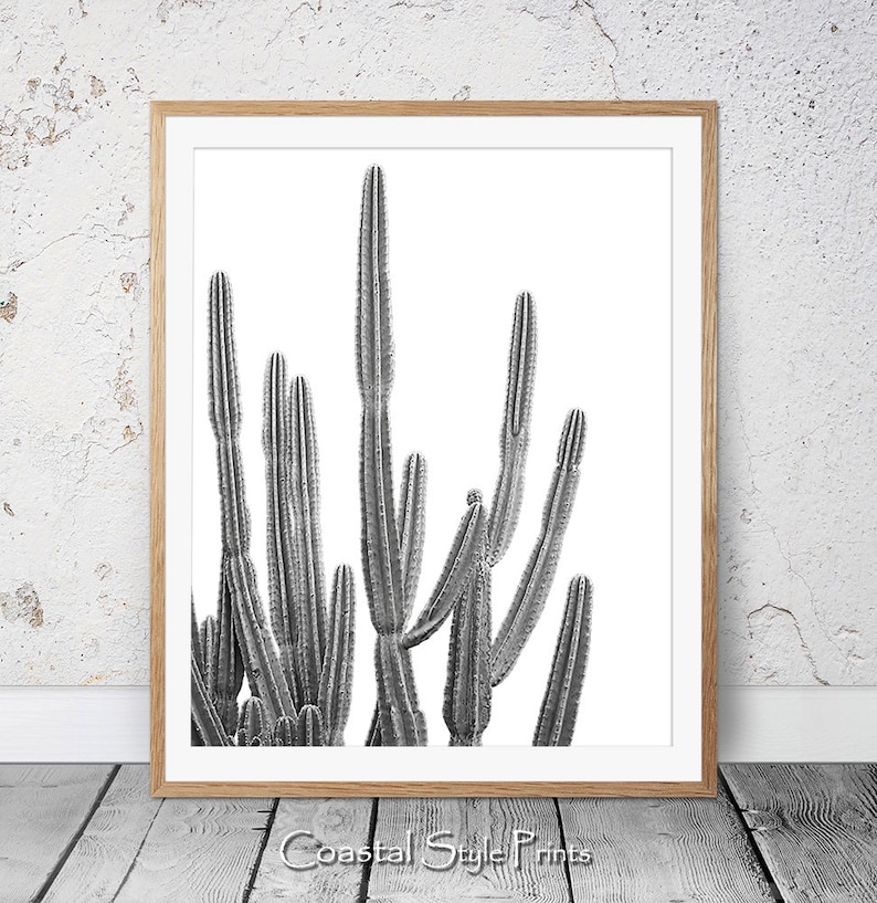 Desert Cactus Print, Black and White, Succulent Print, Botanical Print, Cactus Art, Coastal Wall Art, Large Poster, Cactus Photography, 122b image 1