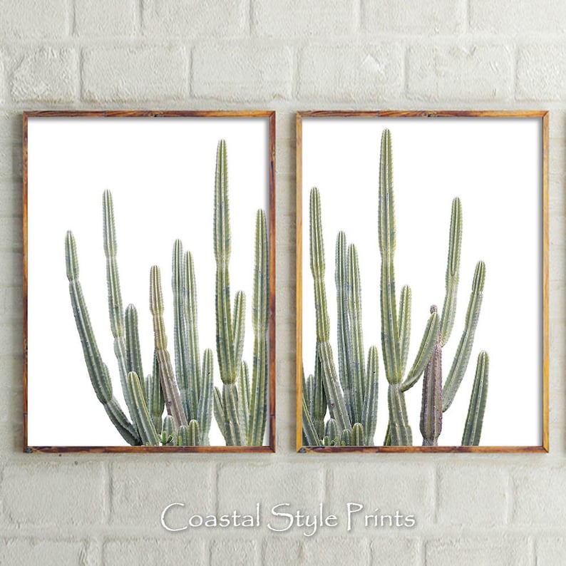 May include: Two framed prints of a group of tall, slender, green cacti against a white background. The prints are in wooden frames with a natural wood finish.