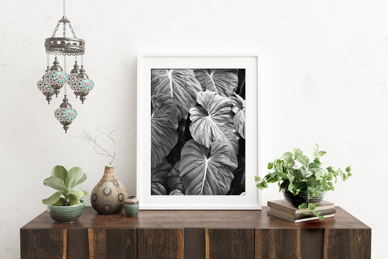 Elephants Ear Leaves Print, Monstera Leaf Print, Black and White Photography, Tropical Print, Bkack White Botanical Print, Modern Wall Art image 3