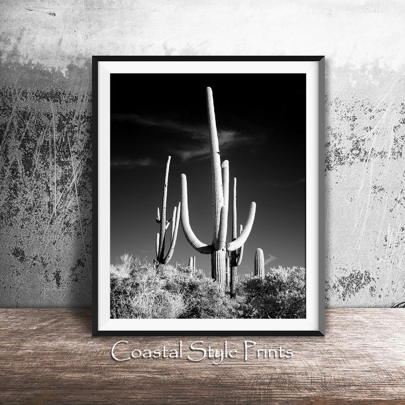 Saguaro Cactus Print, Black and White Print, Desert Wall Decor Printable Desert Art, Cactus Wall Art, Desert Decor, Australia, BW Poster image 8