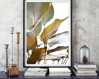 Estampado de hoja de plátano, sepia, fotografía de hojas de plátano, estampado de naturaleza, lámina, estampado botánico, arte de pared, póster, láminas, fotografía de hojas, n.° 136