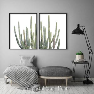May include: Two framed prints of a group of green cactus plants against a white background. The prints are hung on a white wall above a gray couch with a striped throw blanket.
