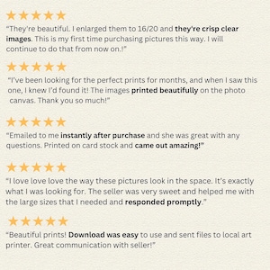 A set of 4 digital prints of garden herbs watercolor artworks.