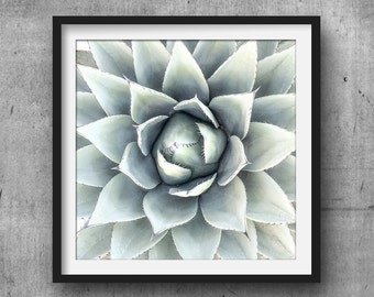 Agave Art Print, Mint Square Print, Succulent Print, Cactus Modern Wall Print, Cactus Poster, Cactus Photography, Digital Art Cacti #112f