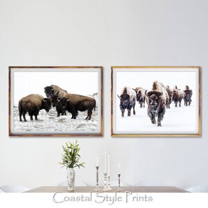 Bison Wall Art, Buffalo Print Set, American Heritage, Bison Prints, Modern Wall Decor, Bison Home Art, Heritage Art Set, Buffalo Print Set