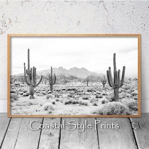May include: Black and white photograph of a desert landscape with tall cacti and mountains in the background.