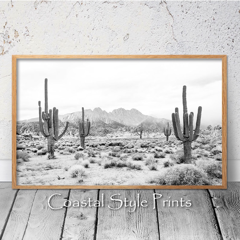 May include: Black and white photograph of a desert landscape with tall cacti and mountains in the background.