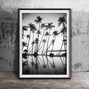 Monochrome Photography, Palm Trees Print, Tropical Print, Ocean Print, Palm Decor, Coastal Art, Beach Wall Art, B & W, Beach Print, 120 image 1