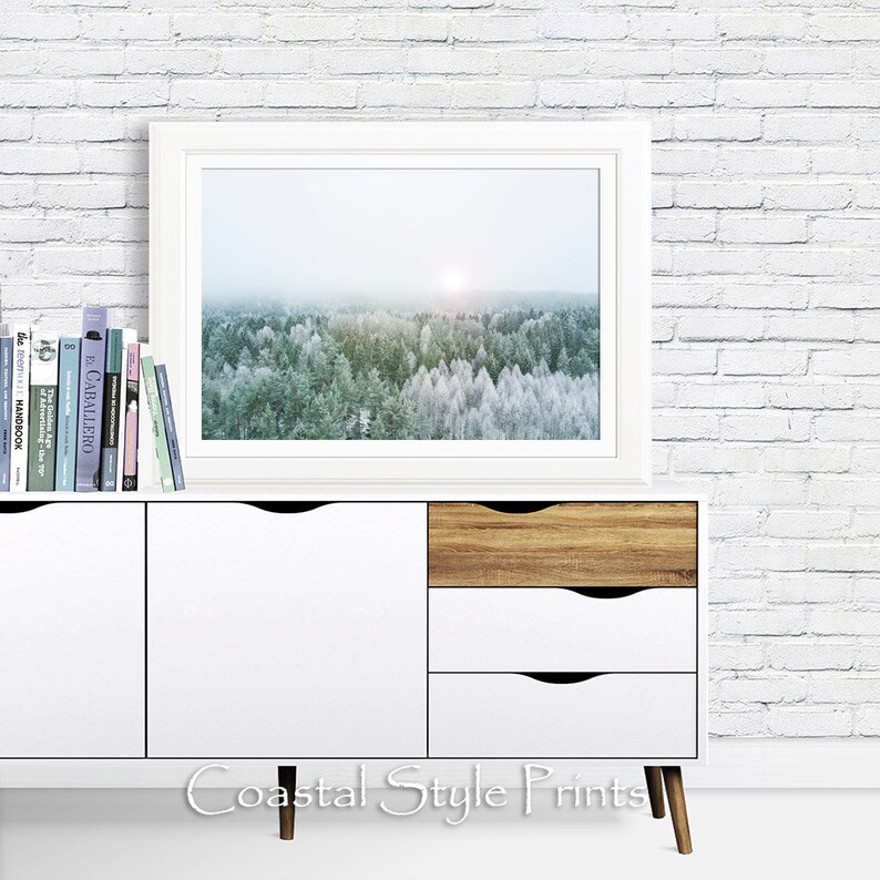 May include: A white dresser with three drawers, two white and one wood, sits in front of a white brick wall. A white frame with a photograph of a snowy forest hangs above the dresser. The dresser has a wooden base and the text "Coastal Style Prints" is printed below the dresser.