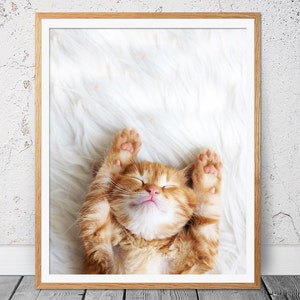 Cat Print, Baby Animal Print, Nursery Print, Kitten Print, Baby Animal Art, Nursery Wall Art, Poster, Cat Photography, Cute Kitten Print,131