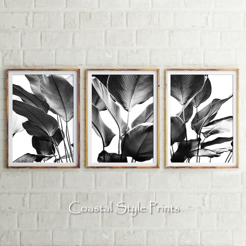 Black and White Print Set, Botanical Print, Printable Wall Art, Set Of 3 Prints, Banana Leaves Print, Digital Download, BW Palm Leaves, 143 image 3