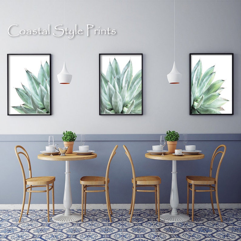 Pu&ograve; includere: Tre stampe incorniciate di una pianta di agave verde su sfondo bianco. Le stampe sono appese a una parete blu chiaro sopra un tavolo da pranzo con quattro sedie. Il tavolo ha una base bianca e un piano in legno. Le sedie sono in legno e hanno una finitura marrone chiaro.