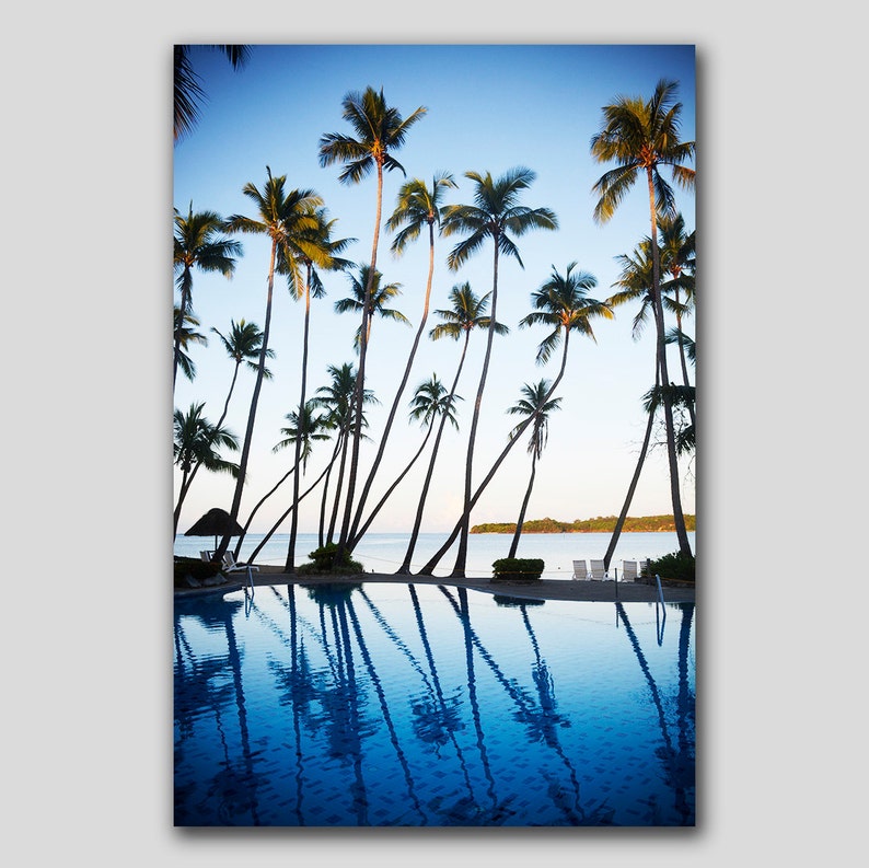 Palm Trees Print, Tropical Print, Ocean Print, Palm Print, Coastal Art, Blue Wall Art, Palm Photography, Vertical Print, Sea Blue Print, 121 image 4