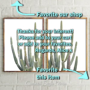 May include: A framed print of a cactus plant with the text "Thanks for your interest! Please add to your cart or add to your favorites. Regards, Alice x" and "Favorite this item" and "Coastal Style Prints".