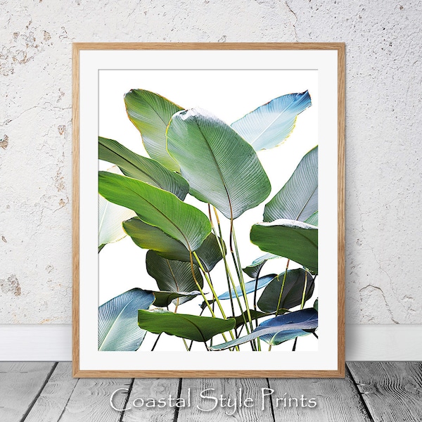 Blue Tropical Prints - Etsy