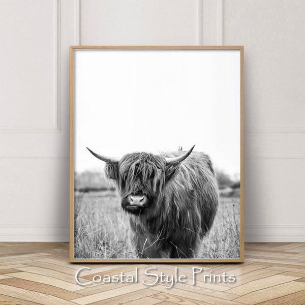 Black and White Cow Print, Highland Cow Print, Printable Animal, Modern Wall Art, Farmhouse Decor, Cow Photography, Bull Poster, Farm Animal